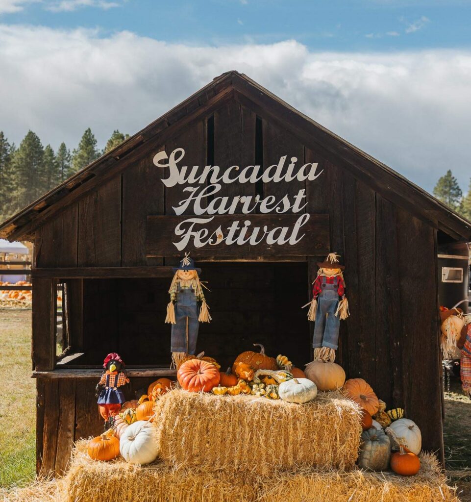 A wooden shack with “Suncadia Harvest Festival” written on it, surrounded by hay bales, pumpkins, and scarecrows. Trees and a blue sky with clouds are visible in the background.