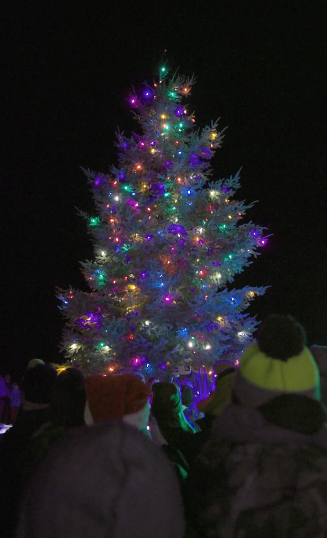 A group of people wearing winter clothing stand in front of a large Christmas tree decorated with colorful lights at night.