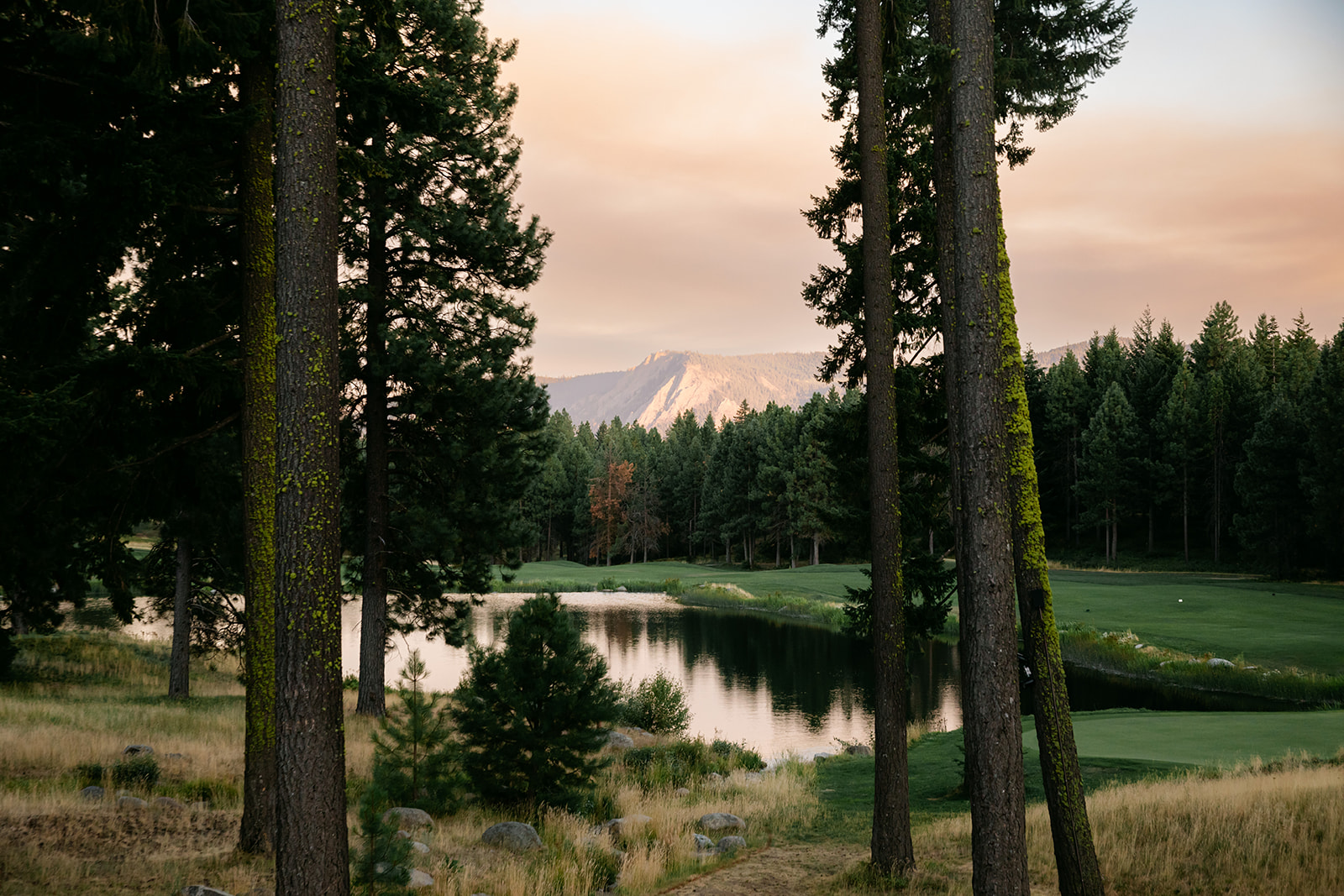 Tall pine trees frame a serene pond with grassy banks, dense forest in the background, and a distant mountain peak illuminated by soft sunset light.