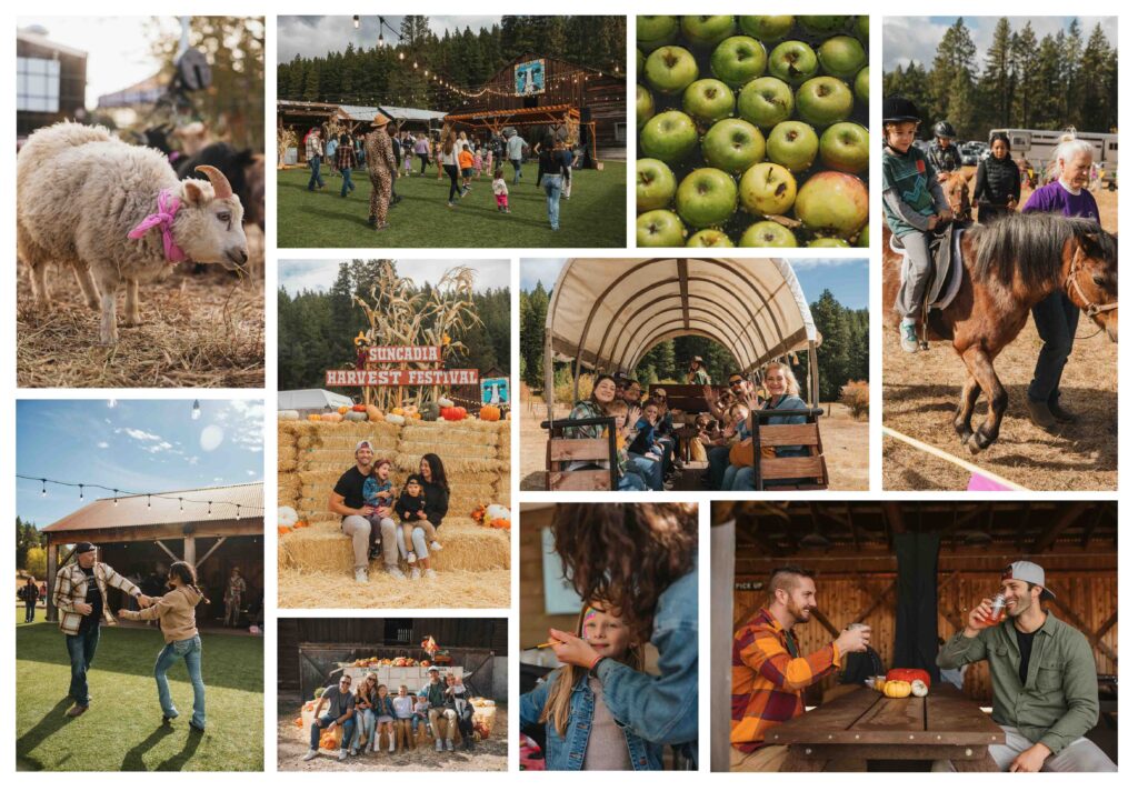 Collage of a fall harvest festival with people enjoying hayrides, apple picking, petting farm animals, eating, drinking, and playing games outdoors in a festive rural setting, surrounded by pumpkins and autumn decorations—a vibrant scene reminiscent of the family-friendly atmosphere found during Spring events at Suncadia.