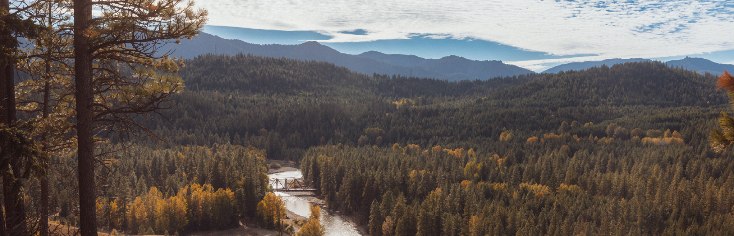 A river winds through a dense forest of green and yellow trees, with mountains in the background under a partly cloudy sky.