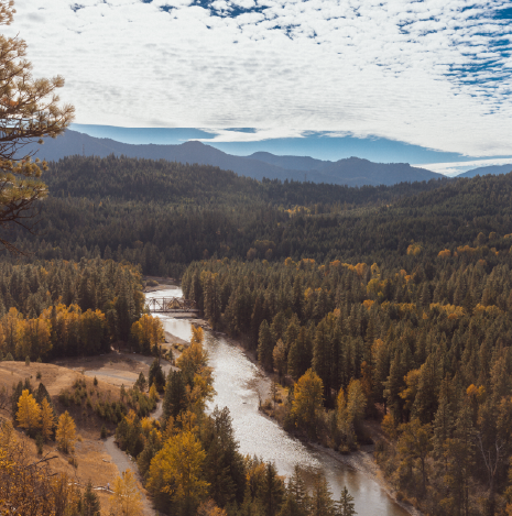 A river winds through a dense forest of evergreen and autumn-colored trees, with mountains in the background and a partly cloudy sky overhead.