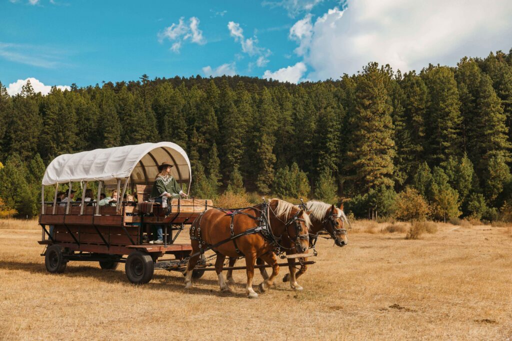 A covered wagon pulled by two horses travels across a dry field, with a forest of tall evergreen trees and a blue sky with clouds in the background.
