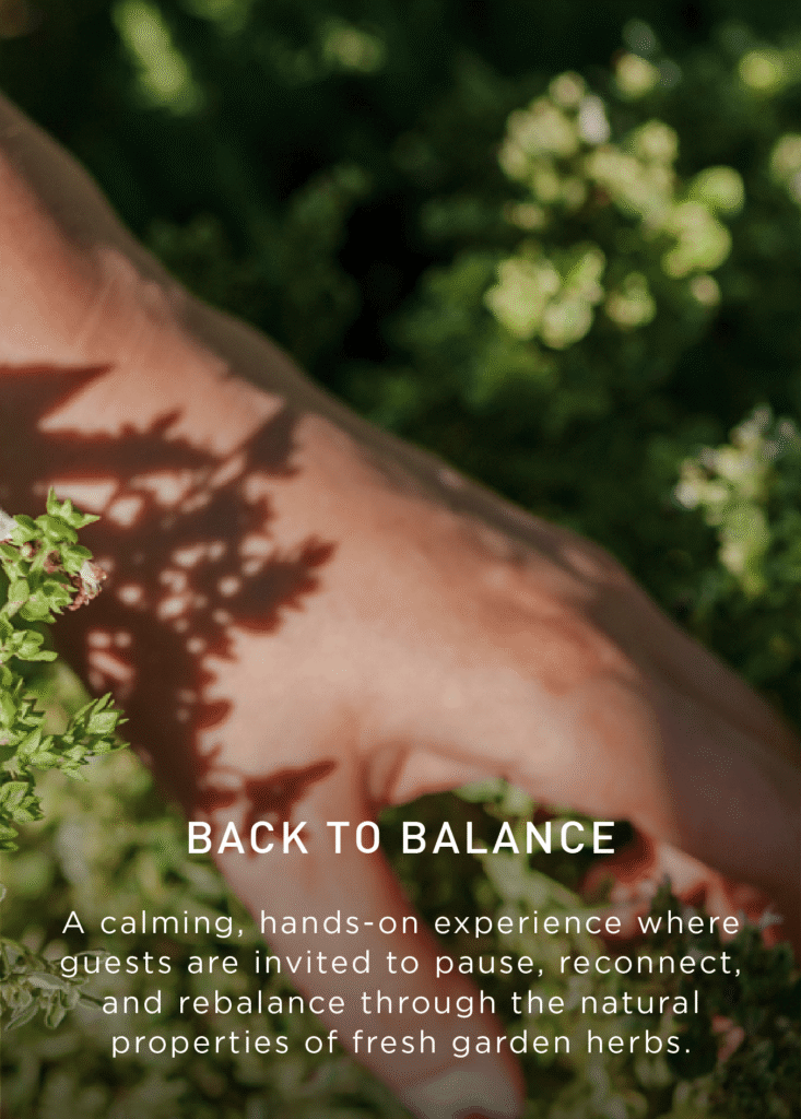 A hand gently touches green garden herbs, with text overlay describing a calming, hands-on experience to reconnect and rebalance using fresh herbs. A button labeled Explore is at the bottom.