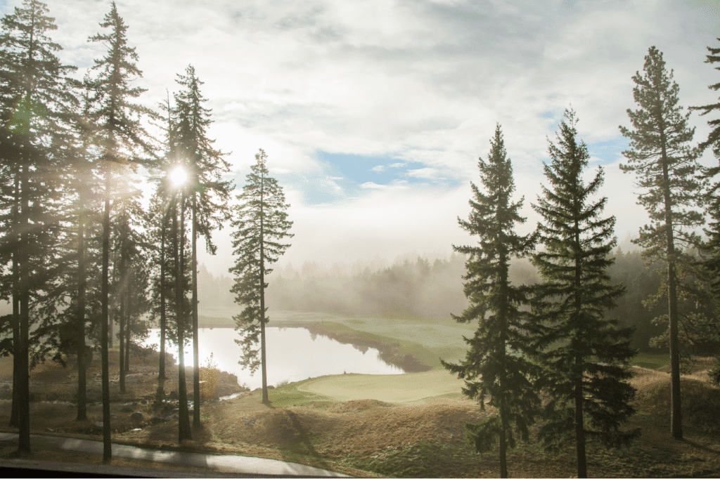Tall pine trees surround a misty golf course at sunrise, with sunlight streaming through the branches and reflecting off a small pond near the green, creating a calm and serene scene.