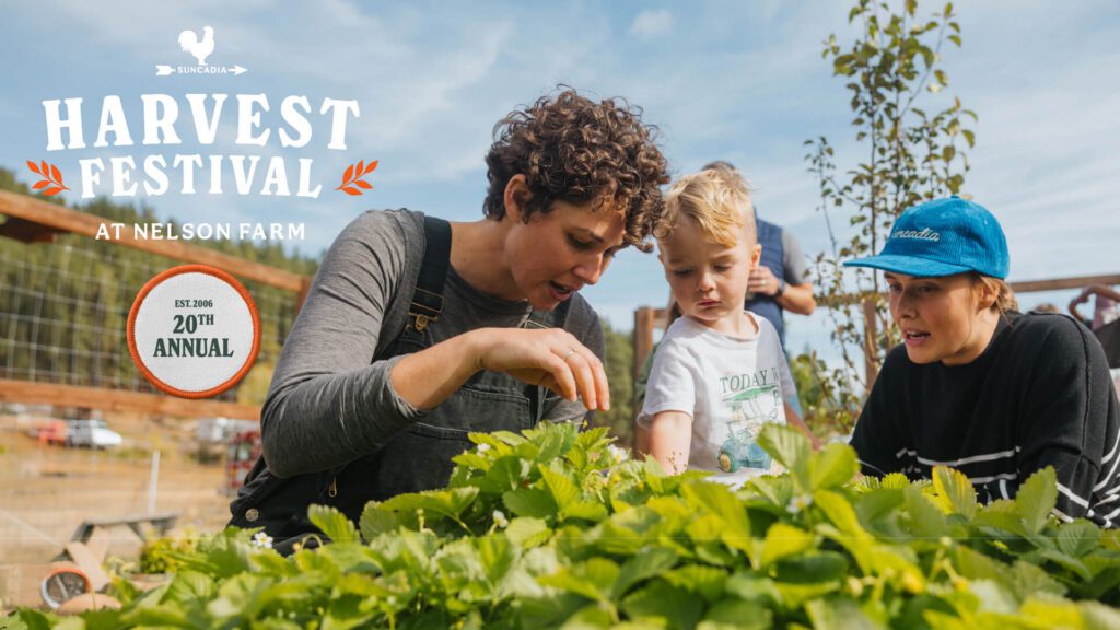 Three people, including a child, examine green plants outdoors at a farm during a harvest festival. A sign reads Harvest Festival at Nelson Farm, 20th Annual, with a rooster logo above—capturing the vibrant spirit often seen at spring events at Suncadia.