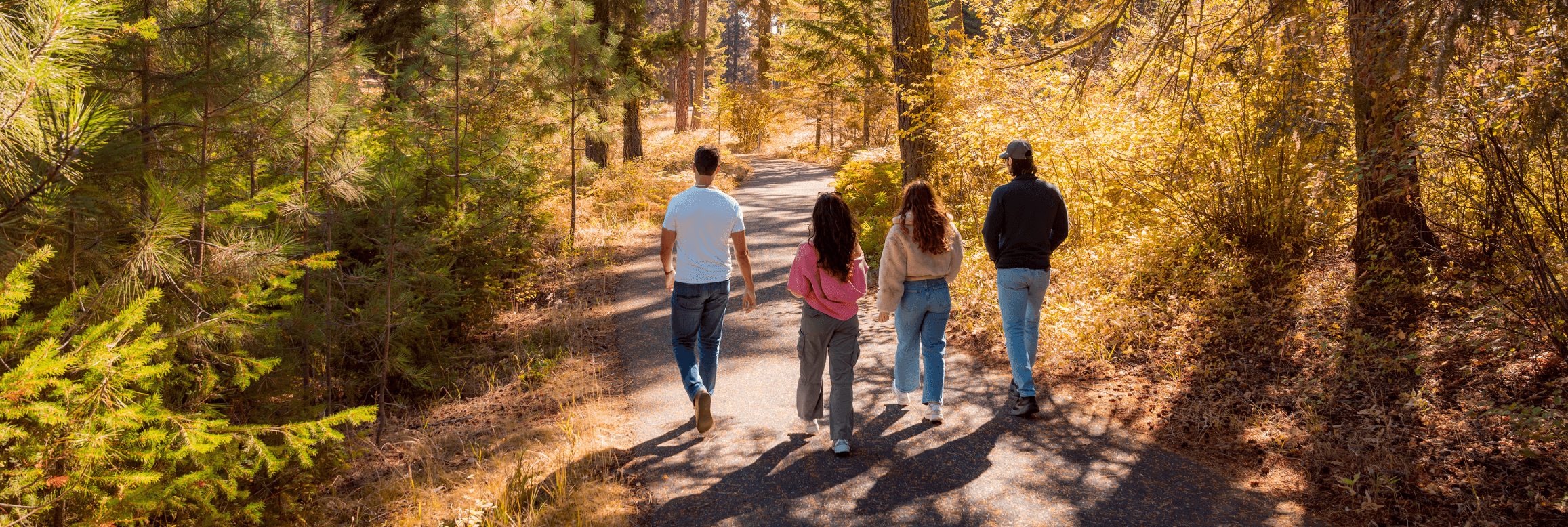 Four people walk away from the camera along a paved path through a sunlit forest in autumn.