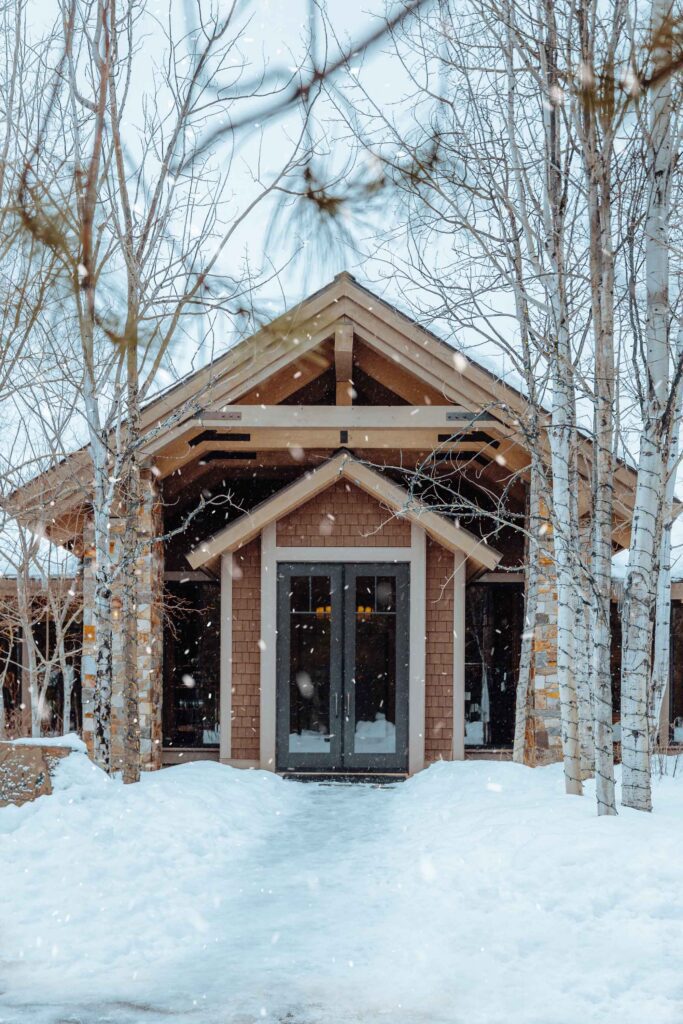 A rustic lodge entrance with glass double doors surrounded by snow-covered birch trees during a snowfall.